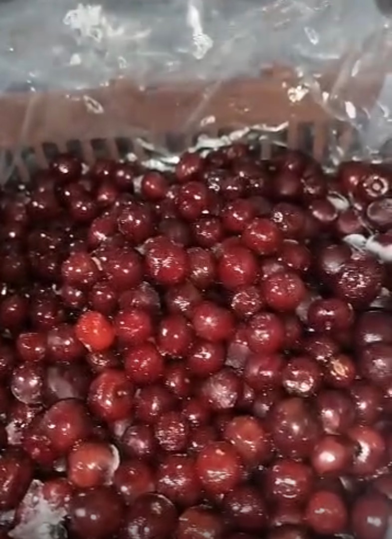 Wiśnie kwaśne mrożone bez pestek Minimalne zamówienie: 1FTL (22 tony) Mrożone wiśnie kwaśne z pestkami Dostawa do Twojego magazynu we Włoszech 3 euro/kg