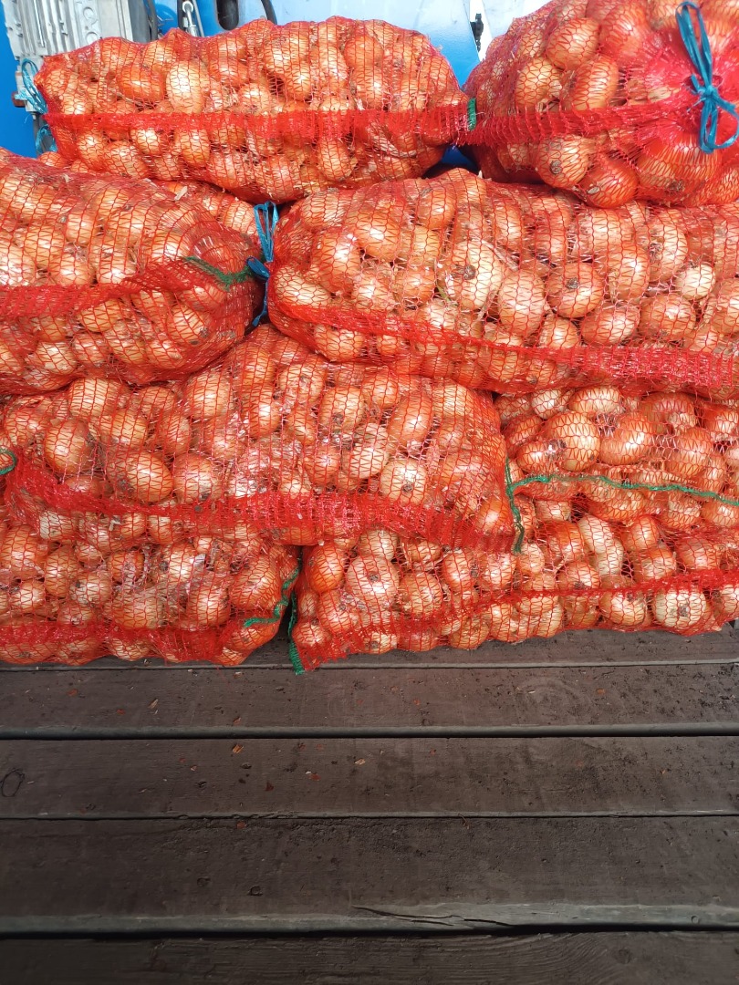 Sprzedam cebulę podwiązkową pakowaną w worki po 25 kg na sprzedaż w miejscowości Hatuica nr 3