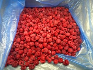 Maliny mrożone (dodatkowo)