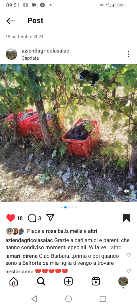 Dobrej jakości odmiany winogron: Czarne (Dolcetto del m.to i Barbera) Białe (Cortese del m.to) Zbiór od 5 września Winogrona uprawiane tradycyjnymi metodami
