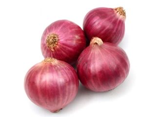 Organiczna czerwona cebula łagodzi wiele chorób, w tym przeziębienie,