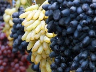 Eksport świeżych winogron z Uzbekistanu Rizamat, Kishmish Kora, Khusaine