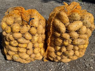 Sprzedam ziemniaki jadalne Soraya pakowane w big bagi luzem