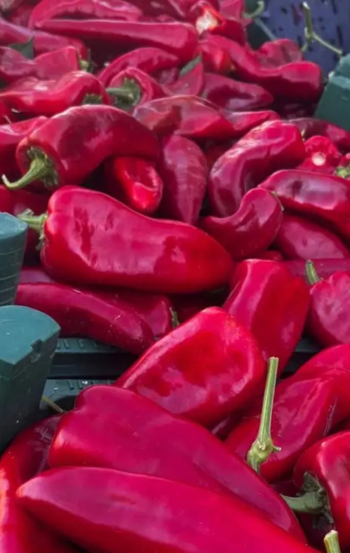 Świeże owoce i warzywa prosto od tureckich producentów – najlepsze ceny! Oferujemy szeroki wybór sezonowych owoców i warzyw, starannie uprawianych w żyznych