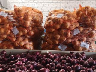 Oferujemy szeroki wybór cebuli: żółtej, czerwonej i szalotki. Produkty