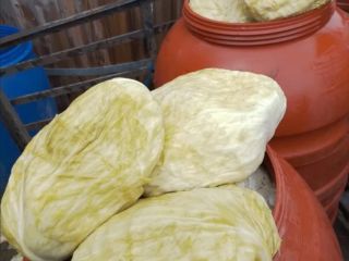 Kapusta płaska 0,40 €/kg Kiszona kapusta płaska 0,80 €/kg