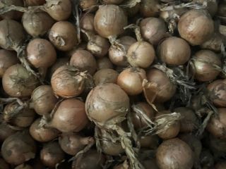 Sprzedam cebulę różne opakowanie i rożny kalibracje 50mm-120mm więcej