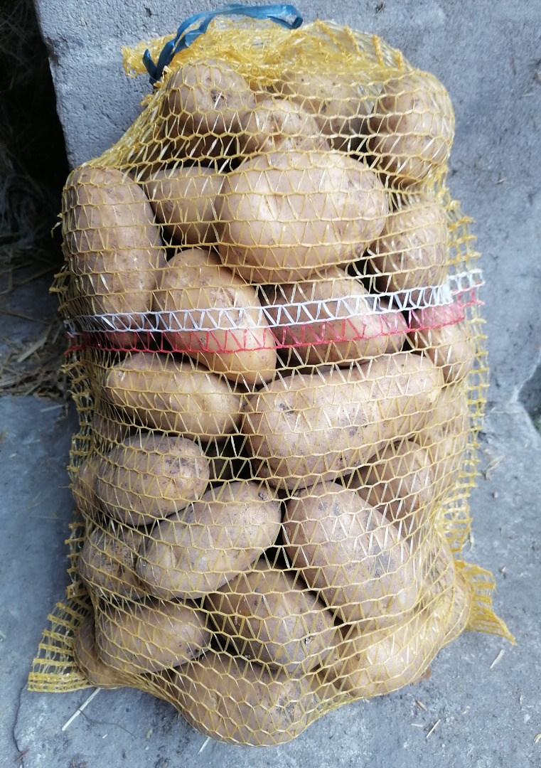 Witam sprzedam ziemniaki jadalne odmiany bellarosa, red sonia, Jurek, soraya, marbel, gala, constans, tajfun, anuschka cena 0,90 groszy za kg