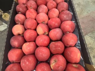 Red Delicious kaliber 70+, opakowania kartonowe na całą Europę