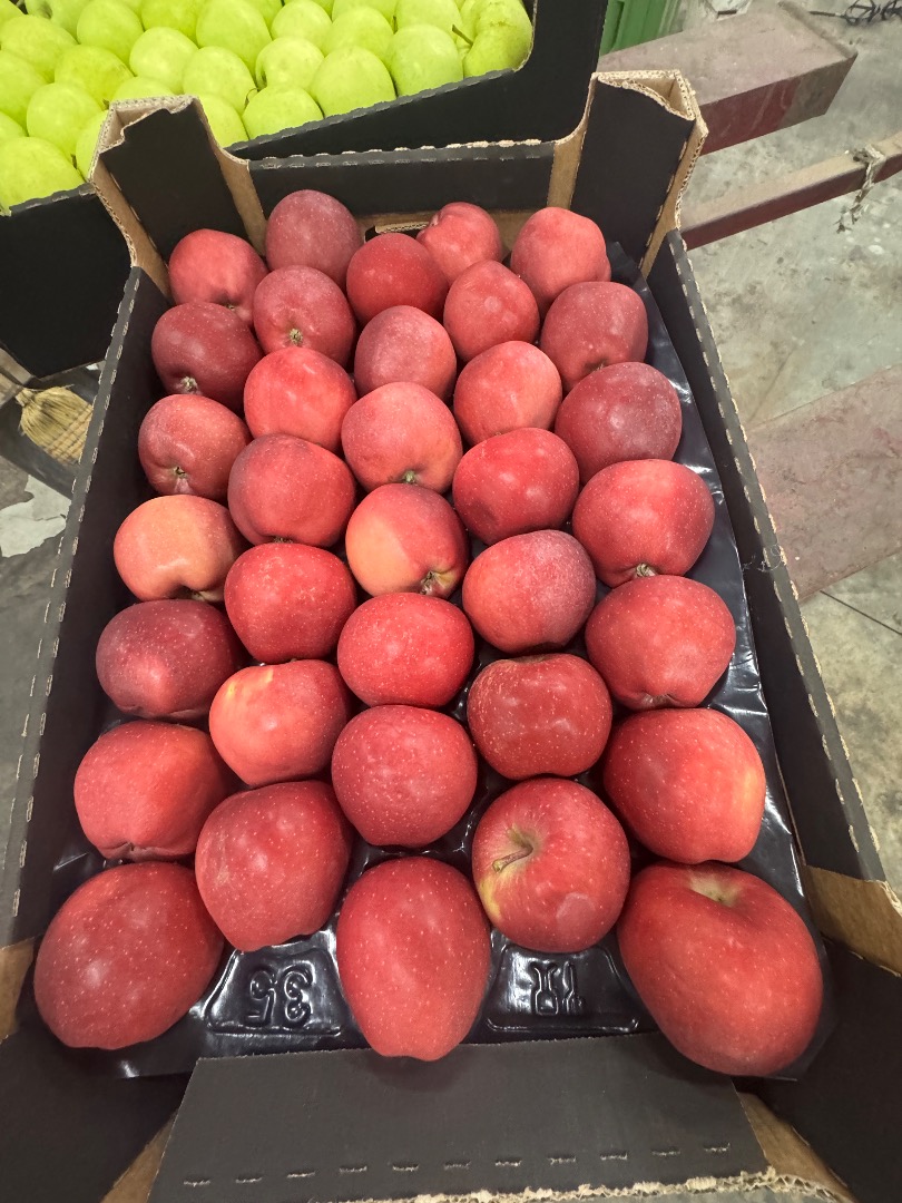 Red Delicious kaliber 70+, opakowania kartonowe na całą Europę