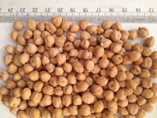 Ciecierzyca, produkowana na Węgrzech. Konwencjonalna. Bezpośrednio od plantatorów.