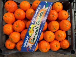 DMD Fruit Srl to firma rodzinna z siedzibą w