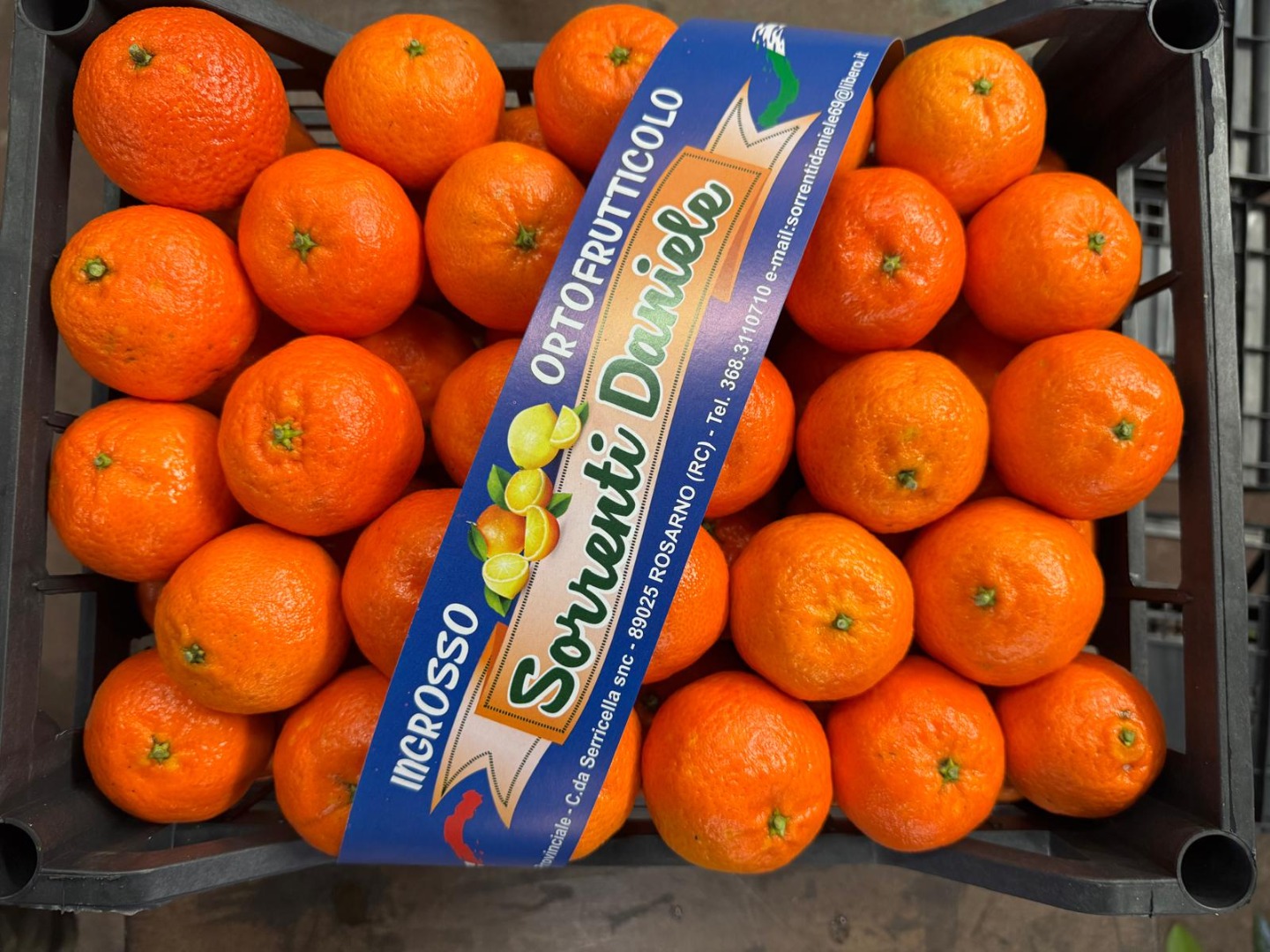 DMD Fruit Srl to firma rodzinna z siedzibą w Rosarno (Kalabria), specjalizująca się w produkcji i sprzedaży hurtowej mandarynek i pomarańczy od ponad 50 lat
