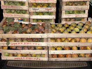 produkcja miękkich, organicznych, słodkich kaki