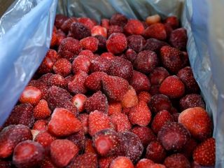 Jesteśmy firmą zajmującą się zbiorem, przetwórstwem i sprzedażą owoców