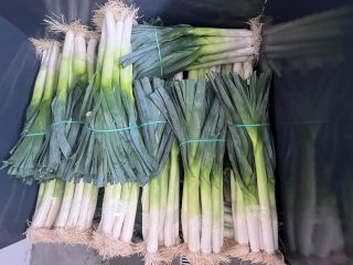 Mam do sprzedania pora, ok 500000 szt. Odm Krypton,