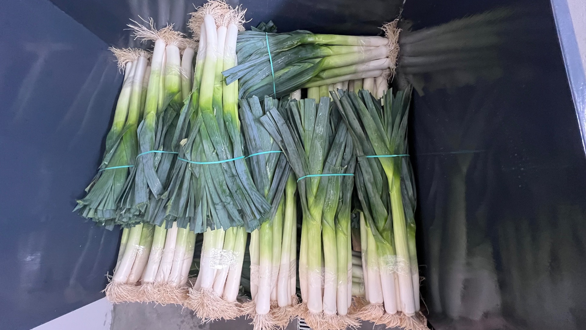 Mam do sprzedania pora, ok 500000 szt