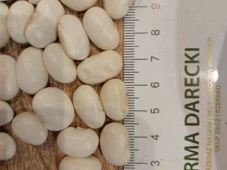 Fasola biała 106/100g zbiór 2025, opakowanie big bag, ilości