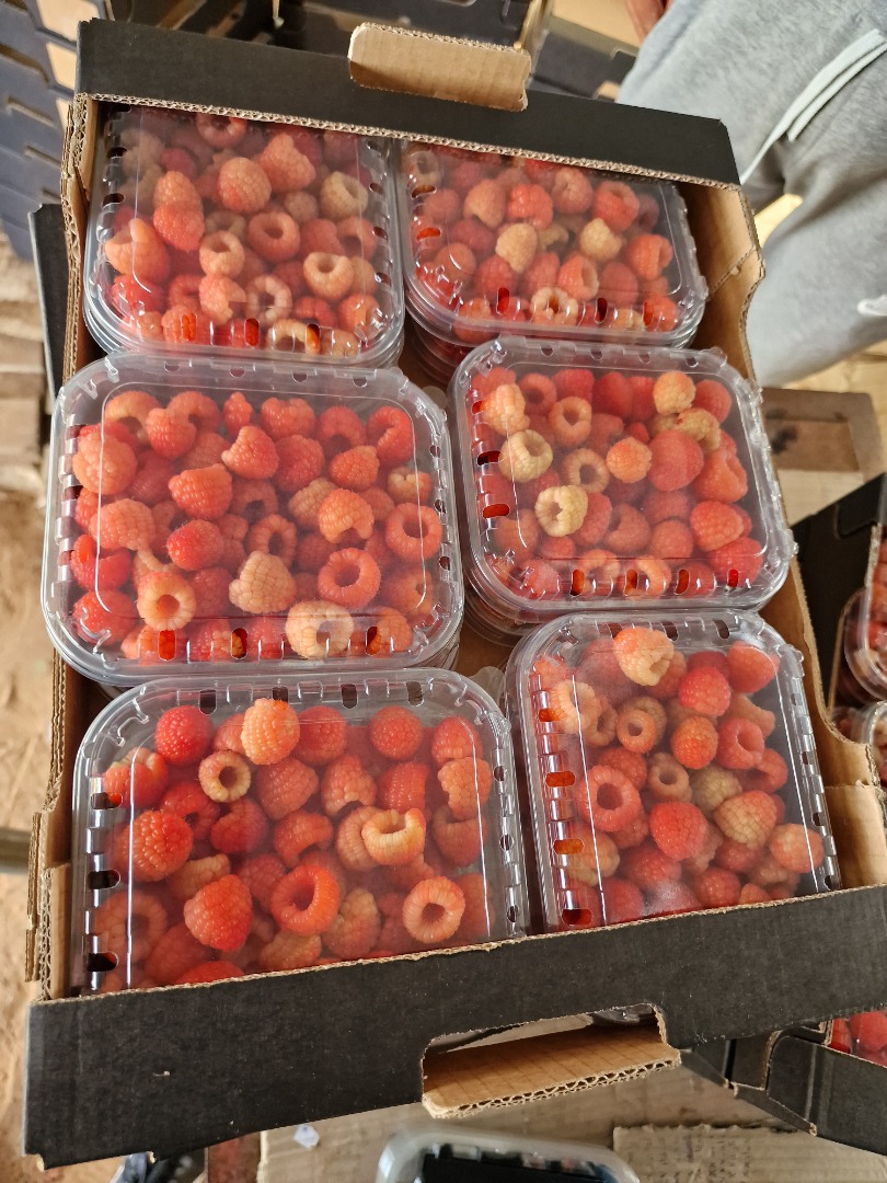 Jesteśmy firma exportowa z Maroka mamy partnera handlowego w Polsce - sprowadzimy każdy dostępny produkt z naszego rynku