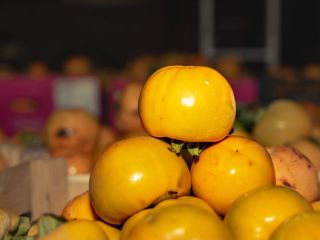 Suszona persymona – naturalnie słodka, bez dodatku cukru: •