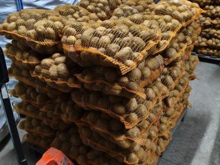 Jurek i Vineta pakowane po 15kg, możliwość zrobienia na