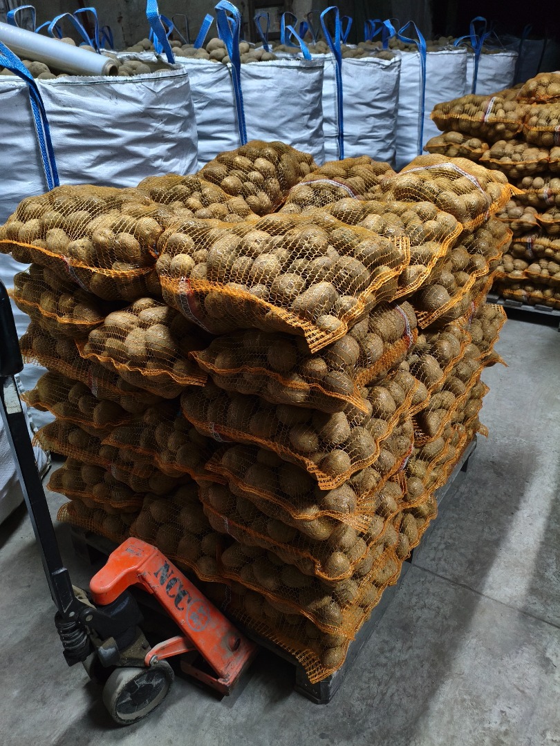 Jurek i Vineta pakowane po 15kg, możliwość zrobienia na paletach, lub w big bagi, możliwy transport