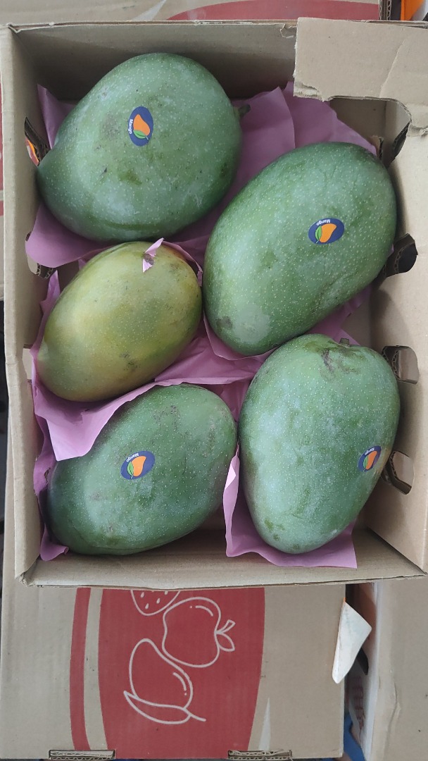 Świeże, dojrzałe mango, gotowe do spożycia, importowane z Egiptu do Rumunii drogą lotniczą