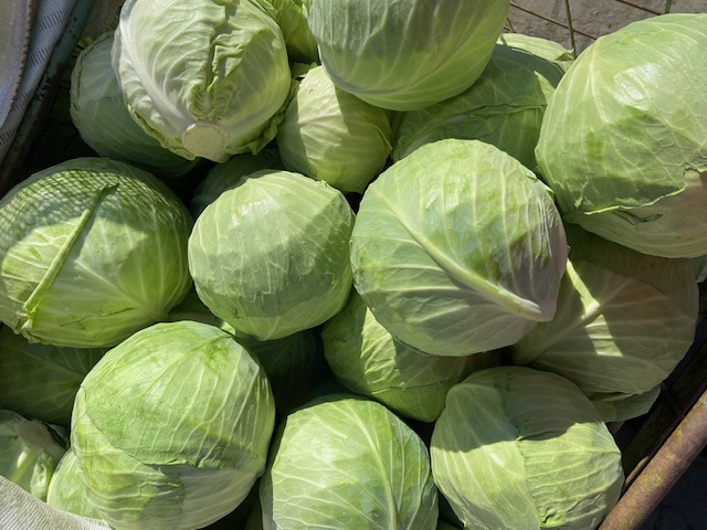 Sprzedam duże ilości świeżo zebranej kapusty z Węgier! Opakowanie: - W drewnianych pojemnikach - W big bagach Rozmiar: 2,5 kg - 3 kg + W przypadku zamówień