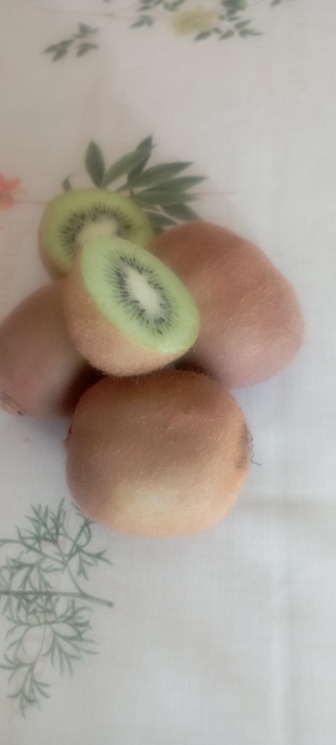 Organiczne zielone kiwi, bardzo słodkie, całkowicie wolne od pestycydów, średniej wielkości, 6,5 cm długości i 4,5 cm szerokości