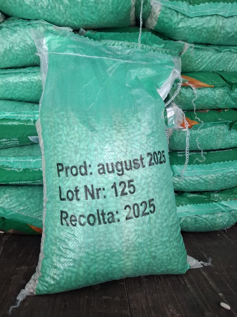 Fasola biała, worek 10 kg, jakość A, pochodzenie Egipt, produkcja 2025 r