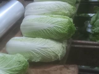 Sprzedam kapustę pekińska kal 0,5-1,8kg z chłodni. Ilości tirowe.