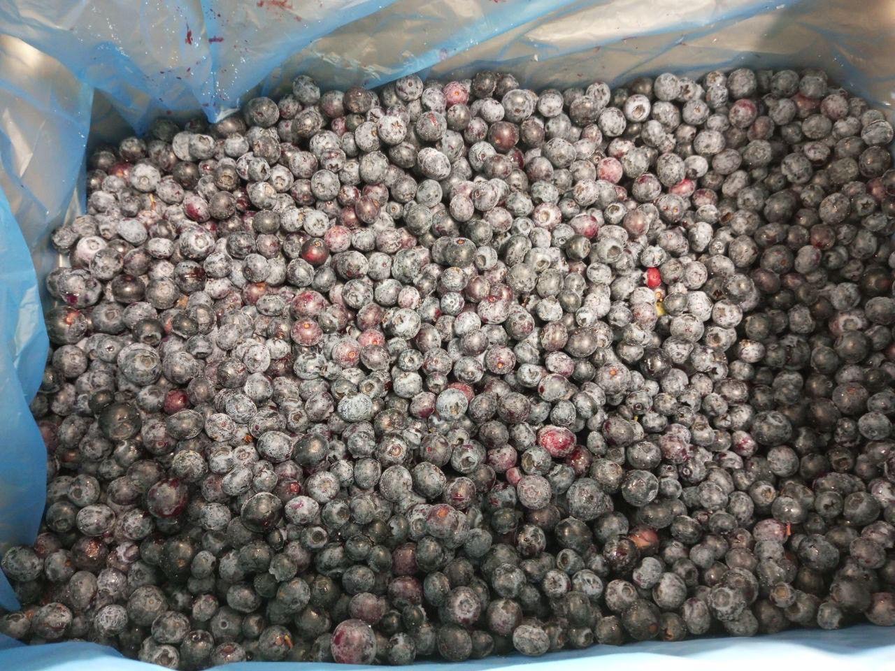 Sprzedaję 40 ton mrożonego, oczyszczonego pochodzenia zwierzęcego najwyższej jakości