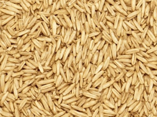 Sprzedam Owies Produkcja 2025, 35 lei/worek 3 sztuki podwójne.