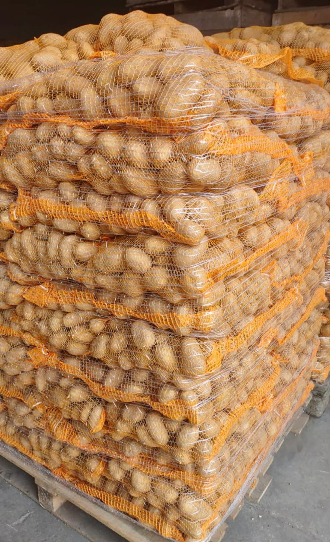 Sprzedam ziemniaki Gala 45+, nadają się do mycia, pakujemy w worek szyty 10-15kg na palecie po szczotkach lub big-bag