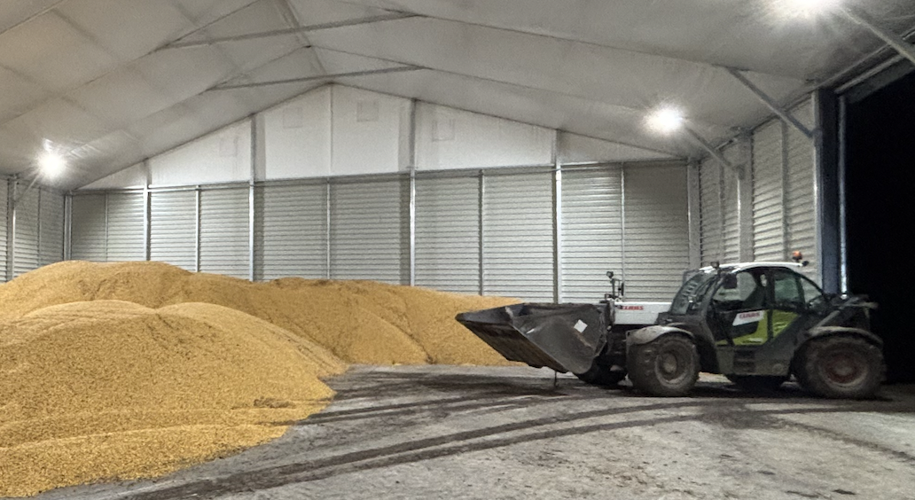 Dzień dobry posiadam 3 000 ton kukurydzy dostępnej od zaraz cena do uzgodnienia, transport możliwy cena do uzgodnienia