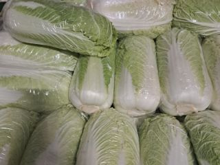 Witam Sprzedam kapuste pekinska Kaliber 0.8-1.8kg Oraz drobna 0.3-0.6kg.