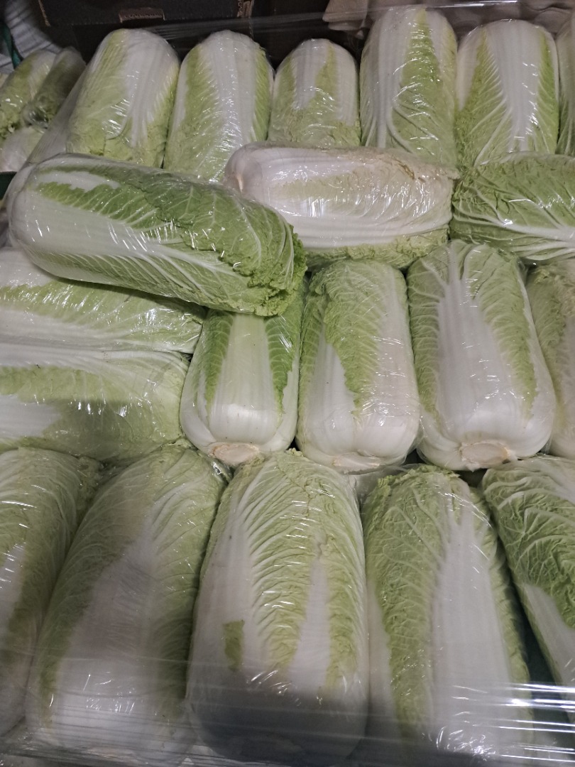 Witam Sprzedam kapuste pekinska Kaliber 0.8-1.8kg Oraz drobna 0.3-0.6kg