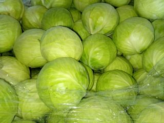 Sprzedam Kapustę Białą i kapustę czerwoną 1-3 kg opakowanie