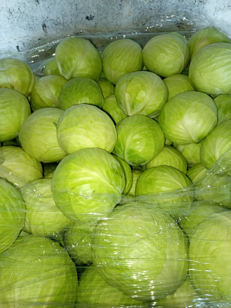 Sprzedam Kapustę Białą i kapustę czerwoną 1-3 kg opakowanie do ustalenia, Kapusta biała kaliber 1 kg-3 kg , 3 kg-4 kg towar konkretny czysty marketowy odmiana