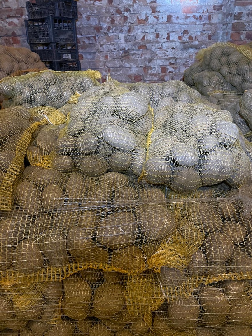 Mam na sprzedaż 24 tony ziemniaka jadalnego odmiana PARADISO - spakowane w worki szyte po 10 kg
