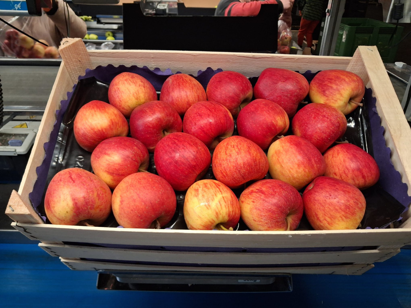 Sprzedam jabłka deserowe - Red Jonaprince , Gala , Golden Delicious , Idared