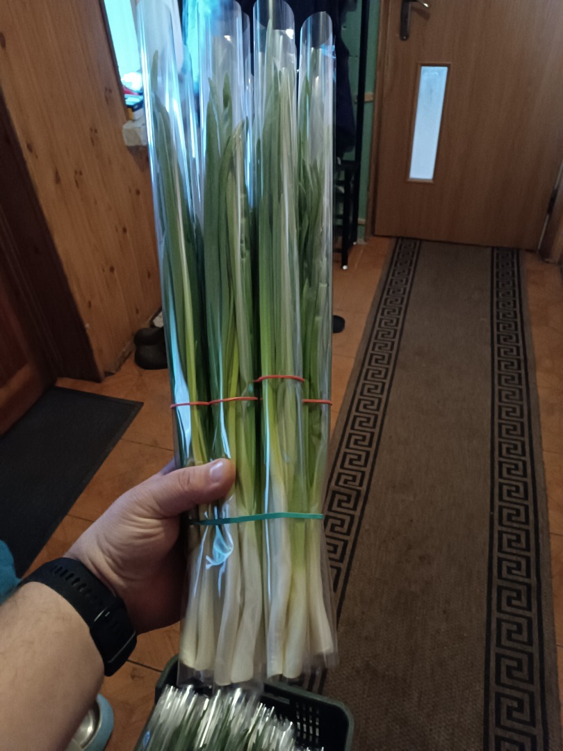 Witam sprzedam szczypior w pęczkach jak i na wagę wszytko do dogadania