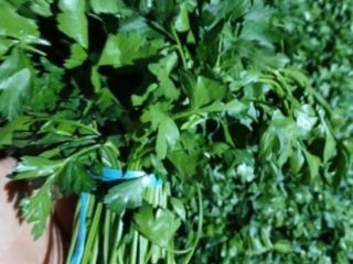 Świeża dostawa natki z Uzbekistanu, towar można zobaczyć na