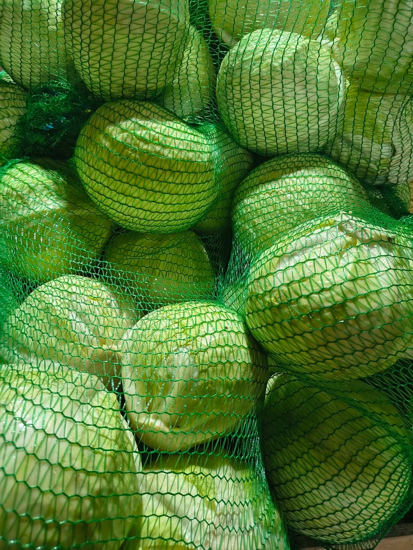 Kapusta biała - odmiana Zoltan Kapusta biała idealna zarówno do kiszenia , jak i na surówki