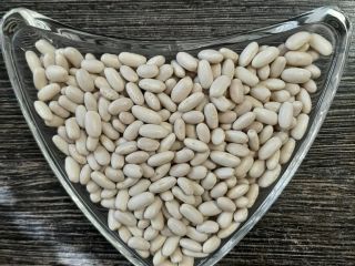 Sprzedamy. Fasola biała ALUBIA Ilość 22 ton Rok zbiorów