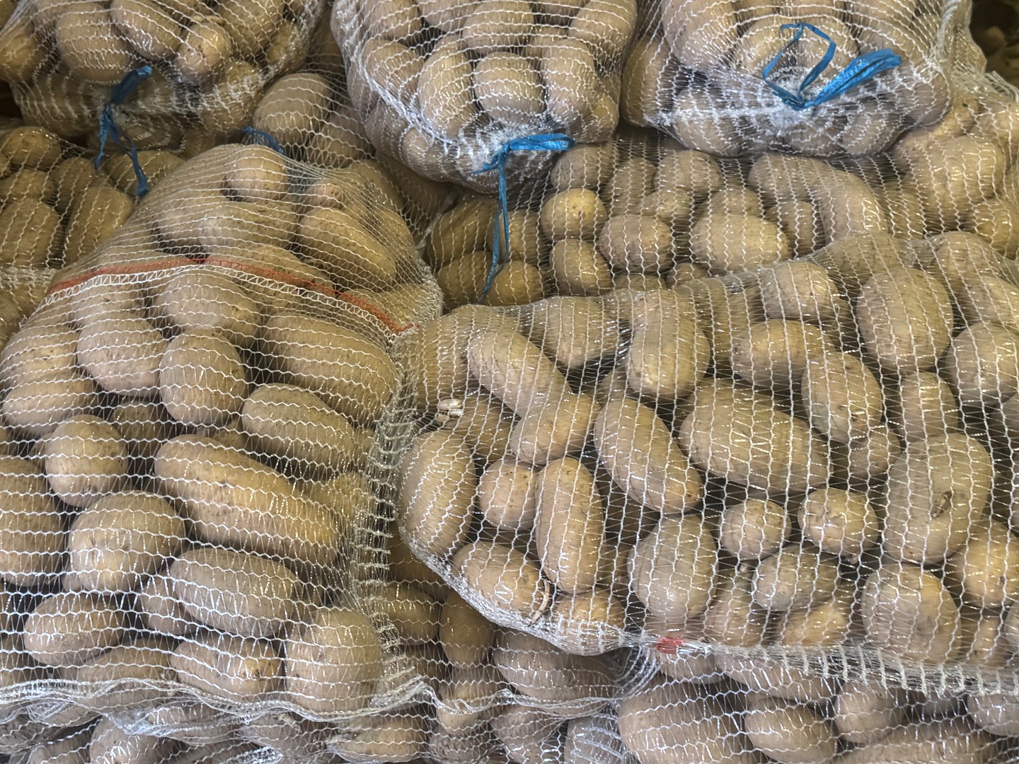Ziemniak CATANIA, gładka skórka z czystej ziemi, bez uszkodzeń, twardy, kaliber 55+ Ziemniak dostępny zarówno w workach 15 kg oraz w big bag (do uzgodnienia )