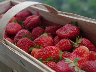 SKUP TRUSKAWEK – ZAPRASZAMY DO WSPÓŁPRACY! Oferujemy skup świeżych