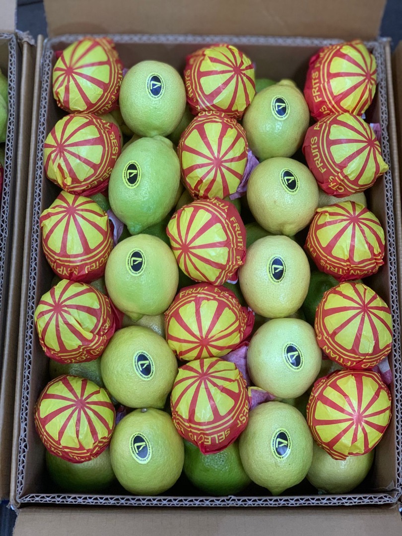 Z przyjemnością oferujemy świeże egipskie cytryny (Key Lime) najwyższej jakości, starannie wyselekcjonowane, aby spełniać międzynarodowe standardy eksportowe