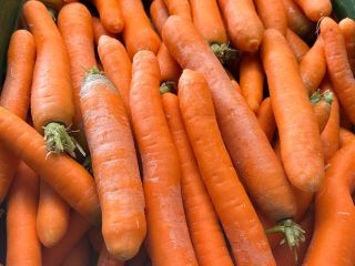 Nawiąże współprace z importerami lub producentami marchwi i cebuli