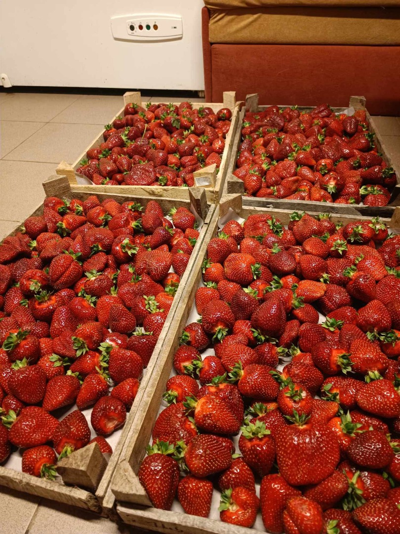 Witam, byłbym zainteresowany regularną dostawą truskawek